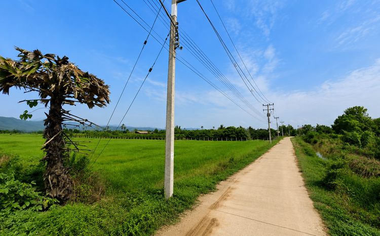 🌿 ขายที่ดินวิวภูเขา 3 ไร่ ต.มะเขือแจ้ อ.เมืองลำพูน เจ้าของขายเอง รูปที่ 2