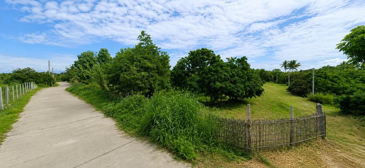 🌳 ขายที่ดินผืนใหญ่ 6 ไร่ 8 ตรว ต.ท่ากว้าง อ.สารภี จ.เชียงใหม่ เจ้าของขายเอง