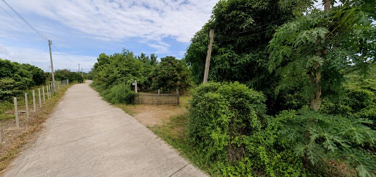 🌳 ขายที่ดินผืนใหญ่ 6 ไร่ 8 ตรว ต.ท่ากว้าง อ.สารภี จ.เชียงใหม่ เจ้าของขายเอง รูปที่ 2