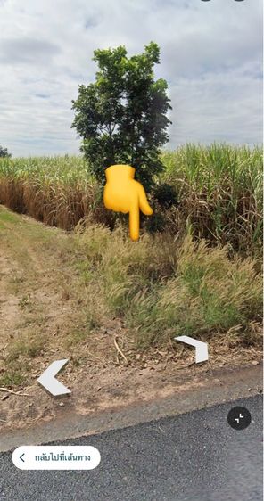 ใช่ ที่ดินติดถนนราคาถูก รูปที่ 2