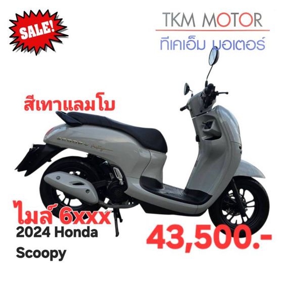 ขายด่วน honda scoopy ปี 2024