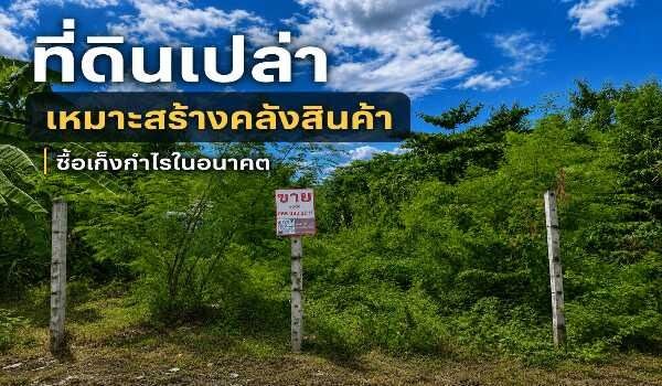 ขายที่ดินถมแล้ว 159 ตารางวา ลาดสวาย ลำลูกกา ปทุมธานี ใกล้ถนนใหญ่ (เพียง 100 เมตร) รูปที่ 3