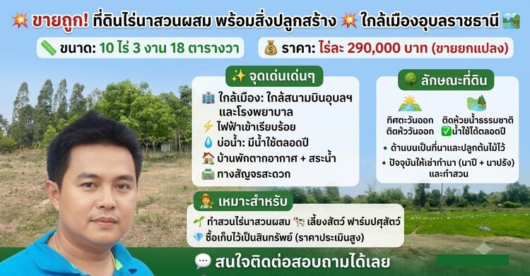 ✨ขายถูก ที่ดินไร่นาสวนผสม พร้อมสิ่งปลูกสร้าง 🌟 ใกล้เมืองอุบลราชธานี 10ไร่ รูปที่ 2