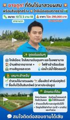 ✨ขายถูก ที่ดินไร่นาสวนผสม พร้อมสิ่งปลูกสร้าง 🌟 ใกล้เมืองอุบลราชธานี 10ไร่