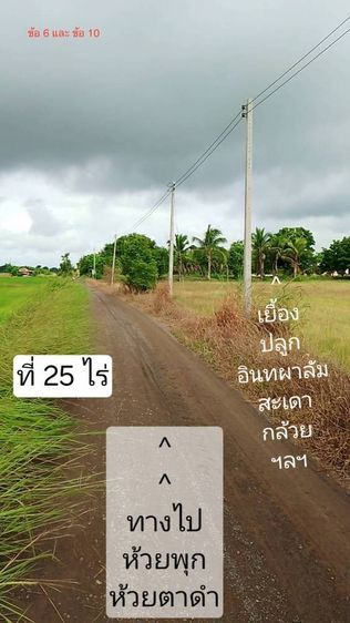 ขายที่ดิน25ไร่ใกล้กรุงเทพ ไร่ละแสนบาท