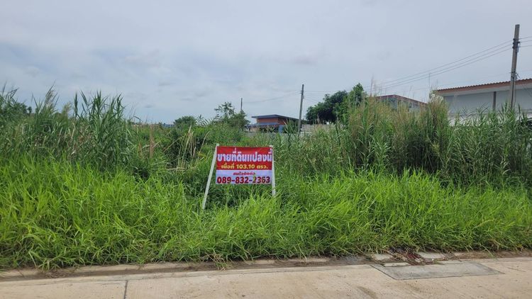 ขายที่ดิน 2 แปลง ทำเลดี บางกระดี่ 24 บางขุนเทียน กรุงเทพฯ รูปที่ 4