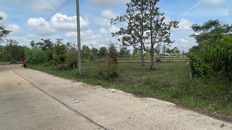 🏡💥 ขายถูก ที่ดิน 2 งาน 10 ตร.ว. 💥🏡 รูปที่ 4