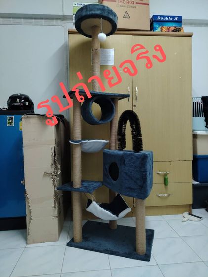 คอนโดแมว คอนโดกำมะหยี่และคอนโดไม้ คอนโดแมวไม้ เหมาะสำหรับแมว1-3 ตัว แข็งแรงและไม่สั่นง่าย รูปที่ 3