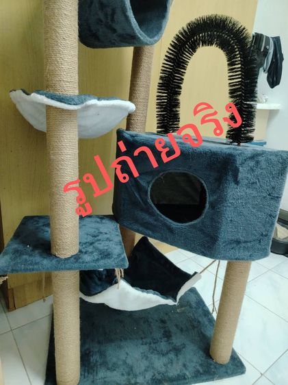 คอนโดแมวและที่ลับเล็บ คอนโดแมว คอนโดกำมะหยี่และคอนโดไม้ คอนโดแมวไม้ เหมาะสำหรับแมว1-3 ตัว แข็งแรงและไม่สั่นง่าย