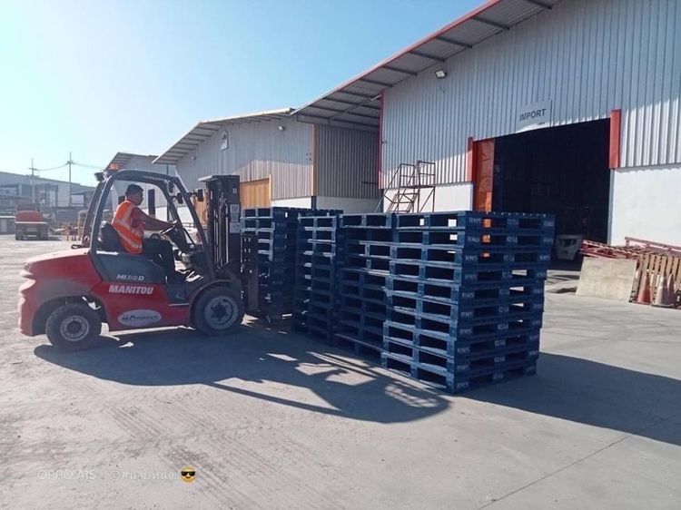 พาเลทไม้ใหม่ พาเลทไม้มือสอง พาเลทไม้มือ2 PALLETS   Pallets  PALLET Pallet รูปที่ 14