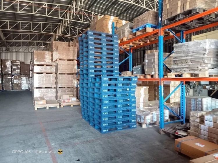 พาเลทไม้ใหม่ พาเลทไม้มือสอง พาเลทไม้มือ2 PALLETS   Pallets  PALLET Pallet รูปที่ 13