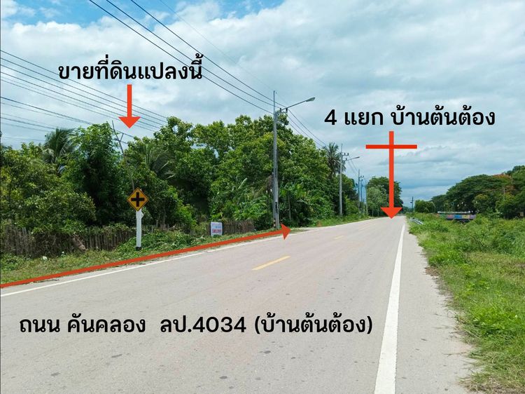 ขายที่ดินเปล่า 1 งาน 47 ตร.วา บ้านต้นต้อง ต.พิชัย อ.เมืองลำปาง โฉนดครุฑแดง พร้อมโอ