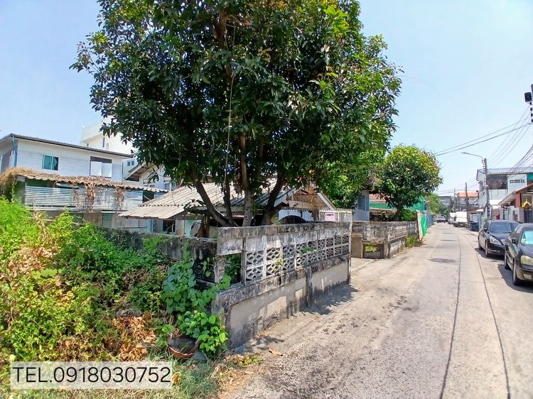 ขายที่ดิน ใกล้รถไฟฟ้า 2 สาย แบริ่ง48 สุขุมวิท107 รูปที่ 3
