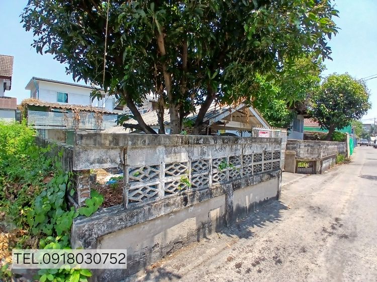 ขายที่ดิน ใกล้รถไฟฟ้า 2 สาย แบริ่ง48 สุขุมวิท107 รูปที่ 4