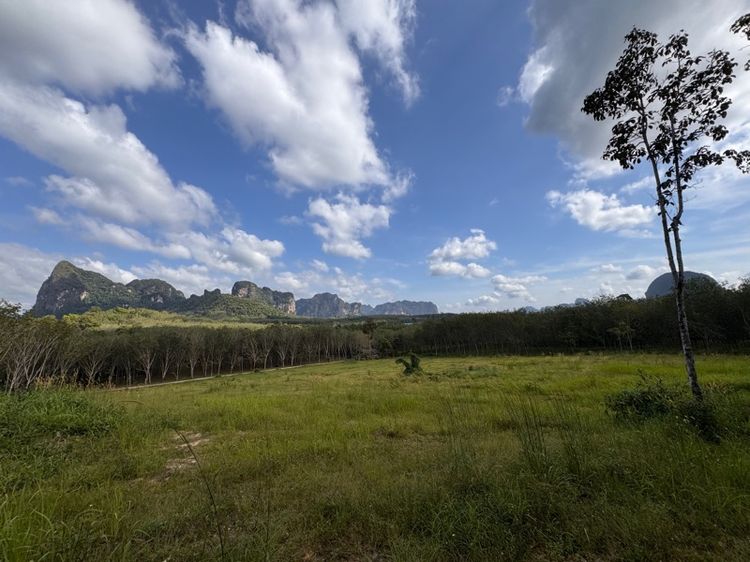 ที่ดินลพบุรี พร้อมขาย3ไร่ รูปที่ 2