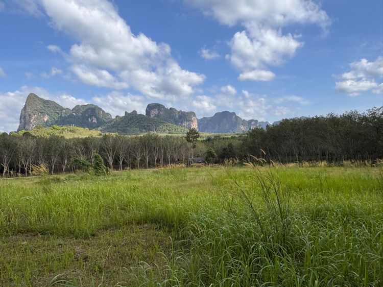 ที่ดินลพบุรี พร้อมขาย3ไร่ รูปที่ 4