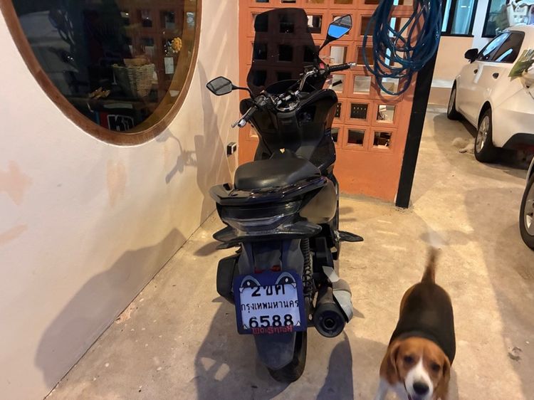 PCX Hybrid 2019 รูปที่ 2