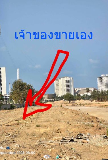 ที่ดินขายด่วน