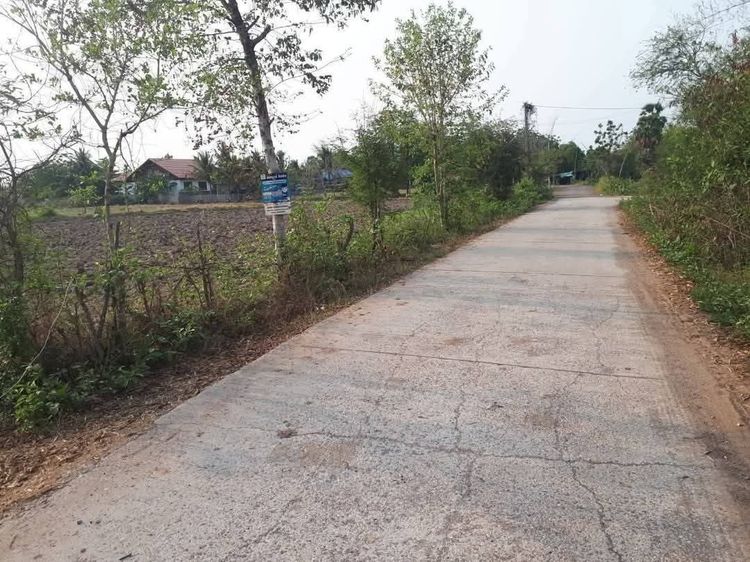ที่นา ติดถนน สาธารณูปโภคครบ