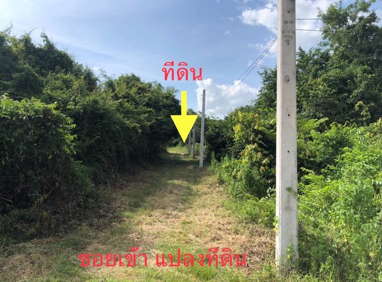 ที่ดิน 51 ตรว ใกล้ บ้านนาแอง ต.นิคมสงเคราะห์ อ.เมือง จ.อุดรธานี