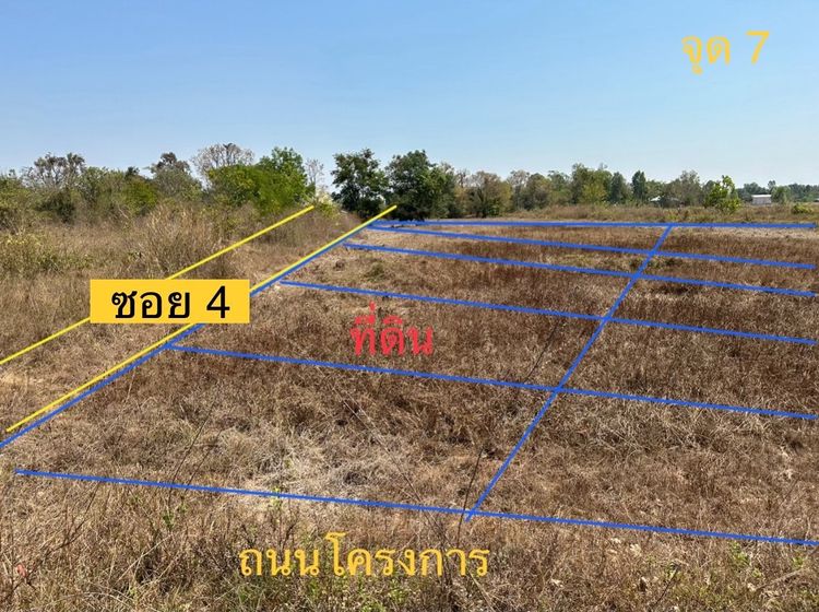 ที่ดิน 80 ตรว ใกล้บ้านแม่นนท์ ต.หนองไผ่ อ.เมือง จ.อุดรธานี
