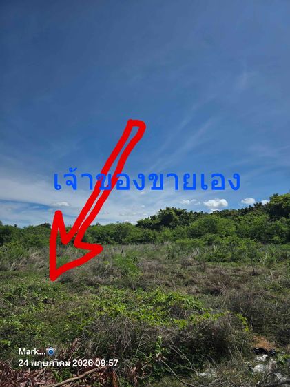 ขายที่ดินด่วน