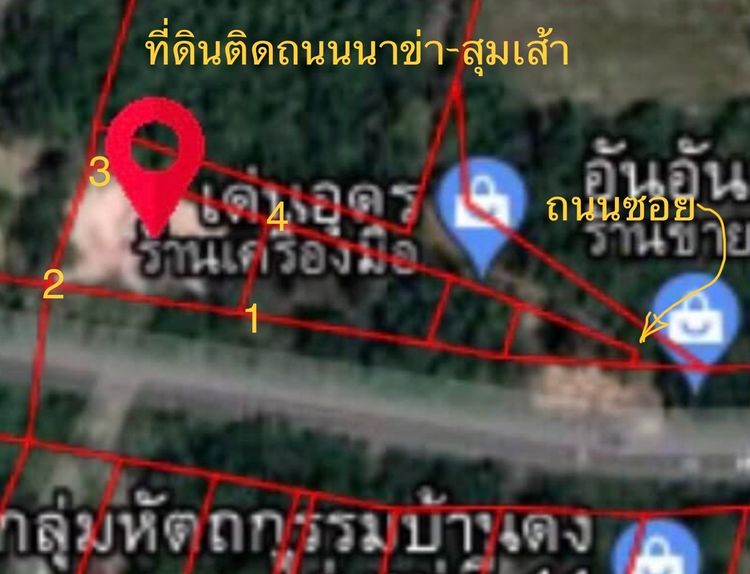 ที่ดิน 302 ตรว ติดทางนาข่า-สุมเส้า ต.นาข่า อ.เมือง จ.อุดรธานี รูปที่ 4