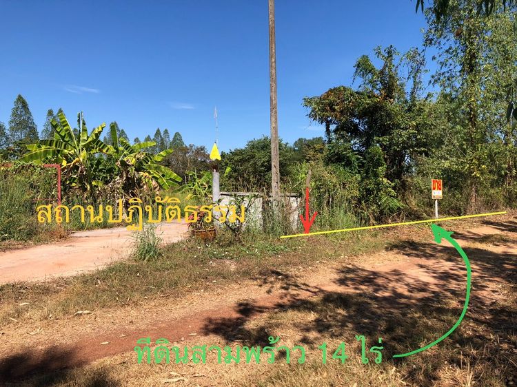 ที่ดินสามพร้าว ( 4-1-8) ขุดสระน้ำ ต.สามพร้าว อ.เมือง จ.อุดรธานี รูปที่ 2