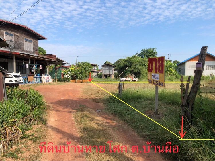 ที่ดิน 113.9 ตรว บ้านหายโศก ต.หายโศก  อ.บ้านผือ  อุดรธานี รูปที่ 2