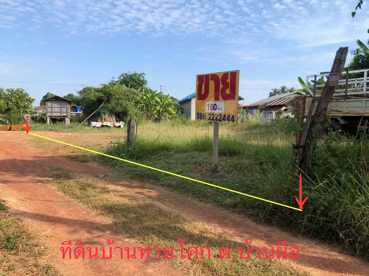 ที่ดิน 113.9 ตรว บ้านหายโศก ต.หายโศก  อ.บ้านผือ  อุดรธานี รูปที่ 3