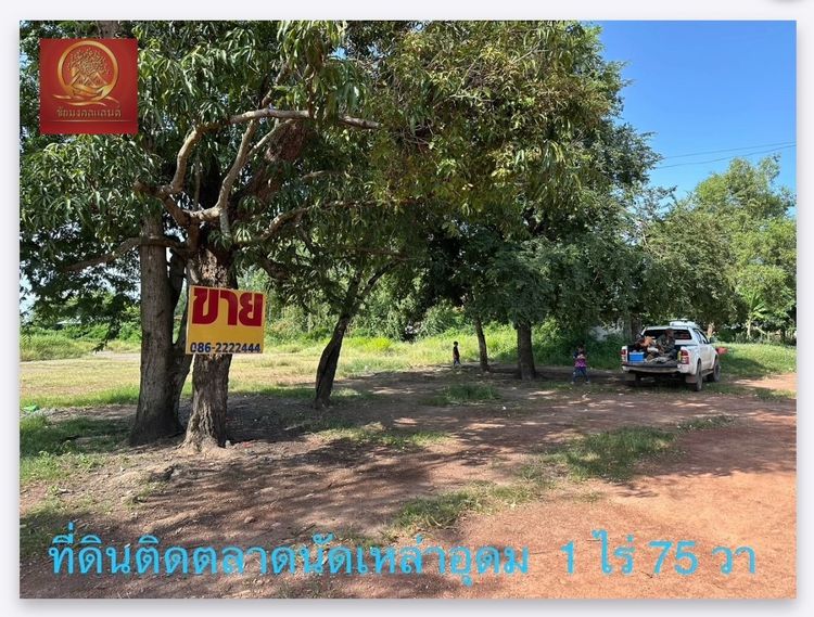 ที่ดิน 1 ไร่ 75 ตรว ติดตลาดนัดเหล่าอุดม ต.บ้านจันทน์  อ.บ้านดุง  จ.อุดรธานี รูปที่ 2