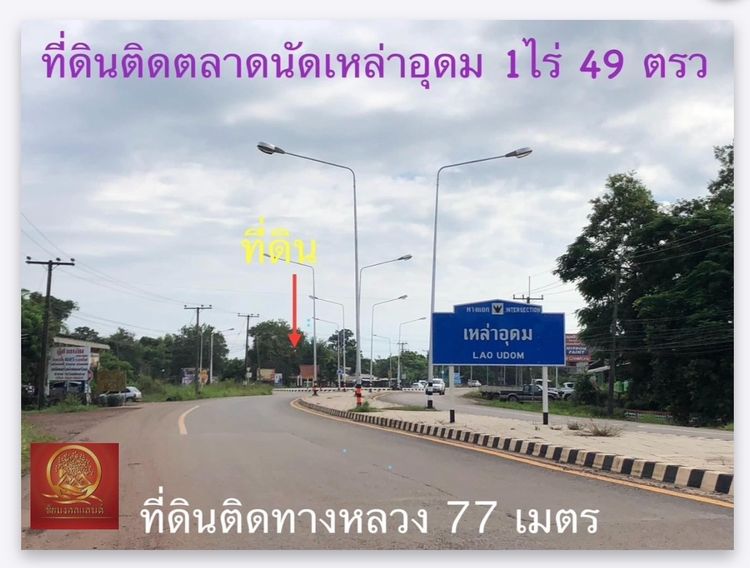 ที่ดิน 1 ไร่ 75 ตรว ติดตลาดนัดเหล่าอุดม ต.บ้านจันทน์  อ.บ้านดุง  จ.อุดรธานี รูปที่ 4