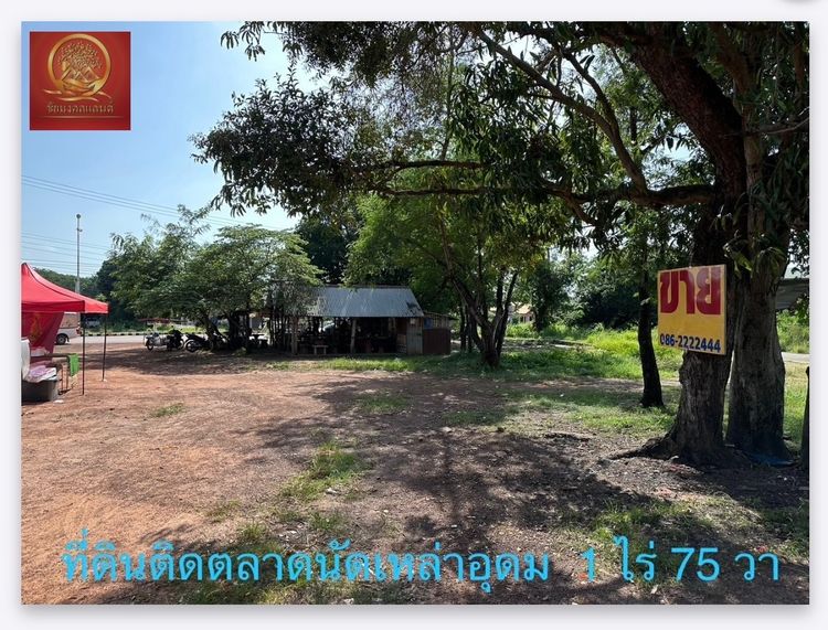 ที่ดิน 1 ไร่ 75 ตรว ติดตลาดนัดเหล่าอุดม ต.บ้านจันทน์  อ.บ้านดุง  จ.อุดรธานี รูปที่ 3