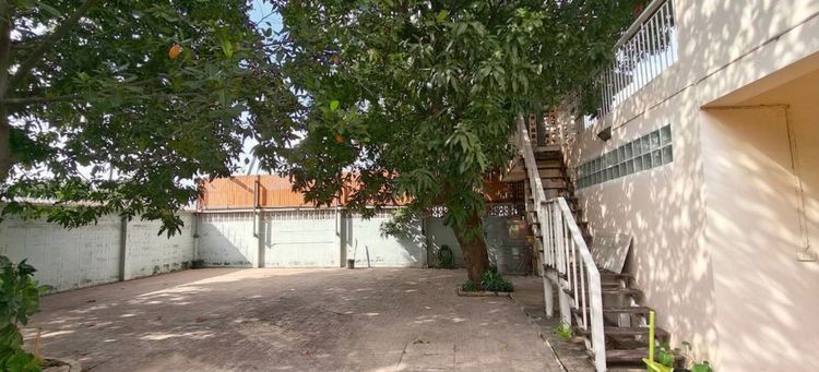 ขายที่ดิน แถมฟรีบ้าน ฟรีโอน รูปที่ 3