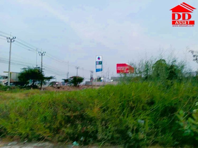 ขายที่ดินเปล่า ติดถนนเลียบคลองส่งน้ำสุวรรณภูมิ แปลงมุม ทำเลสวย รูปที่ 3