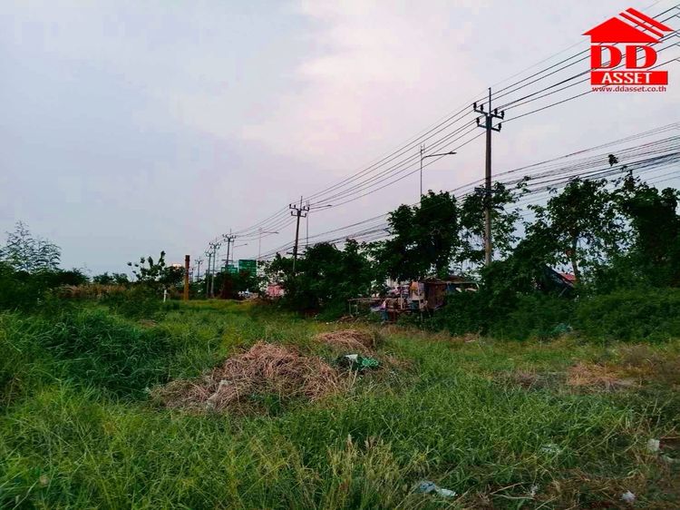 ขายที่ดินเปล่า ติดถนนเลียบคลองส่งน้ำสุวรรณภูมิ แปลงมุม ทำเลสวย รูปที่ 4