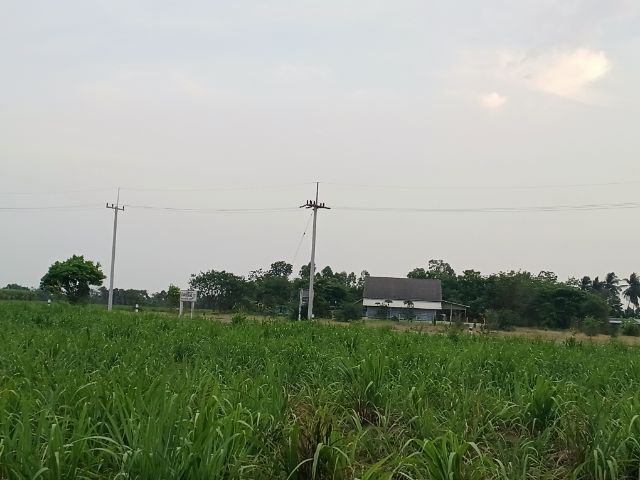 บ้านพร้อมที่ดิน