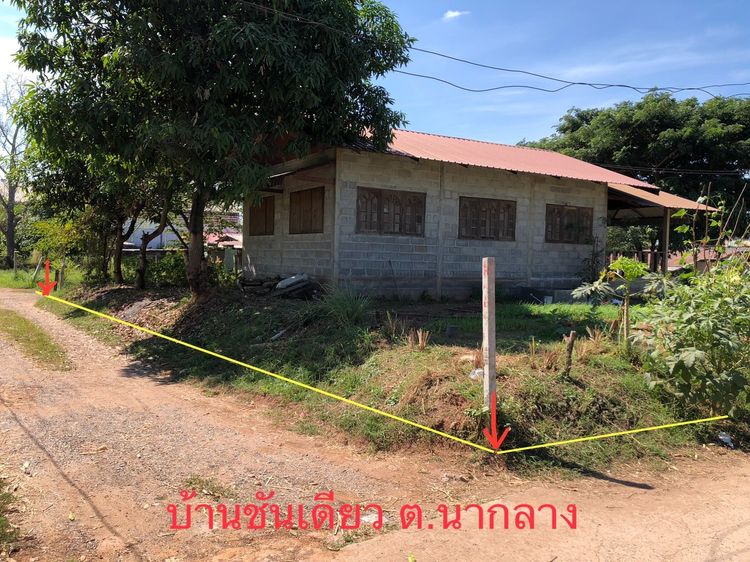 ที่ดิน 200 ตรว พร้อมบ้านชั้นเดียว ต.นากลาง  อ.นากลาง จ.หนองบัวลำภู รูปที่ 3