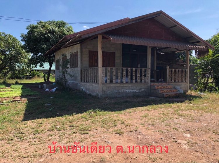 ที่ดิน 200 ตรว พร้อมบ้านชั้นเดียว ต.นากลาง  อ.นากลาง จ.หนองบัวลำภู