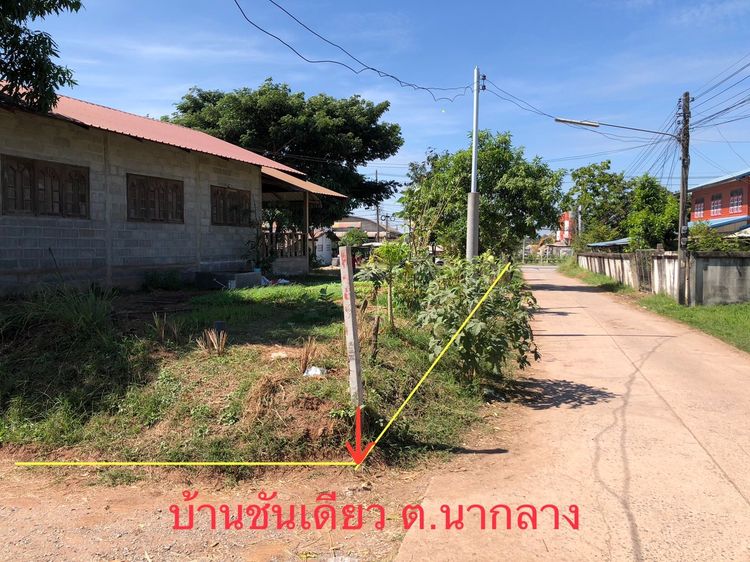 ที่ดิน 200 ตรว พร้อมบ้านชั้นเดียว ต.นากลาง  อ.นากลาง จ.หนองบัวลำภู รูปที่ 2