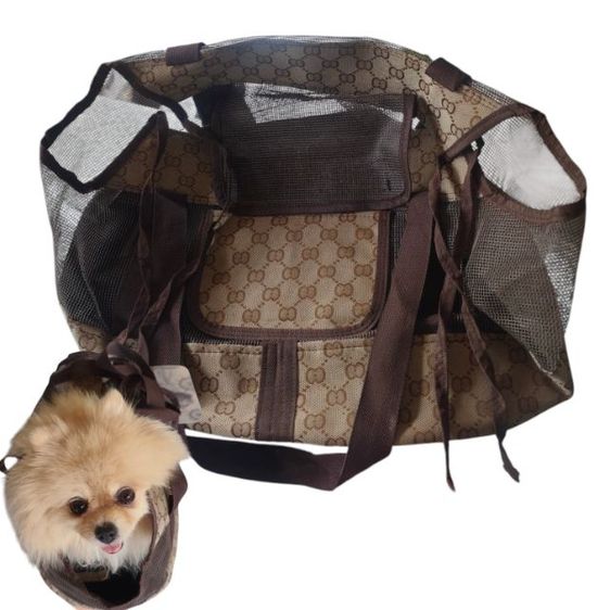กระเป๋า & อุปกรณ์เดินทาง 🐶👜 กระเป๋าใส่น้องหมา น้องแมว