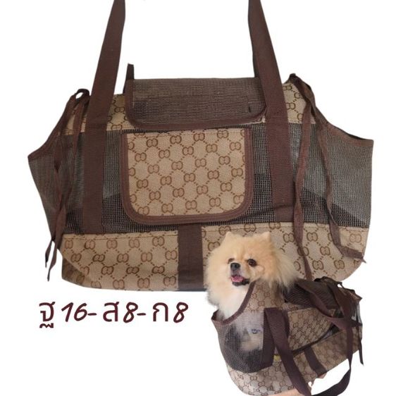 🐶👜 กระเป๋าใส่น้องหมา น้องแมว รูปที่ 4