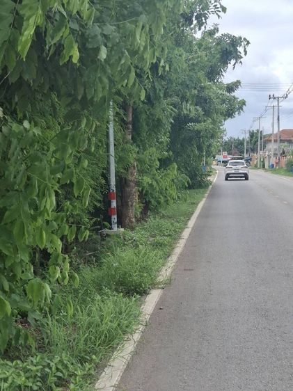 ที่ดินโฉนด​4ไร่1งานติดถนนราดยาง​ขายไร่ละ4ล้านบาท​อ.โพธาราม​จ.ราชบุรี​ติดต่อ​ น้ำผึ้ง​โทร.091813216​