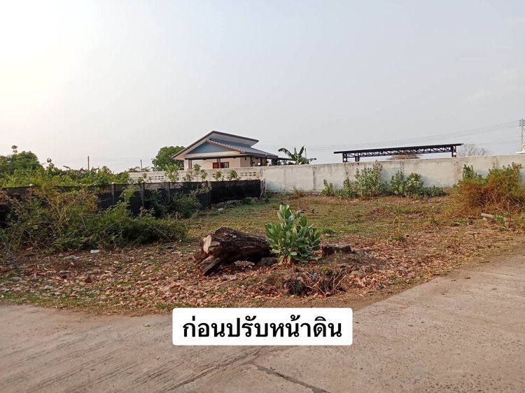 ที่ดิน 100 ตรว. อำเภอเมือง จังหวัดบุรีรัมย์
