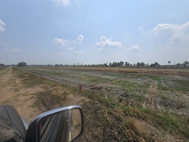 ที่ดินเปล่า