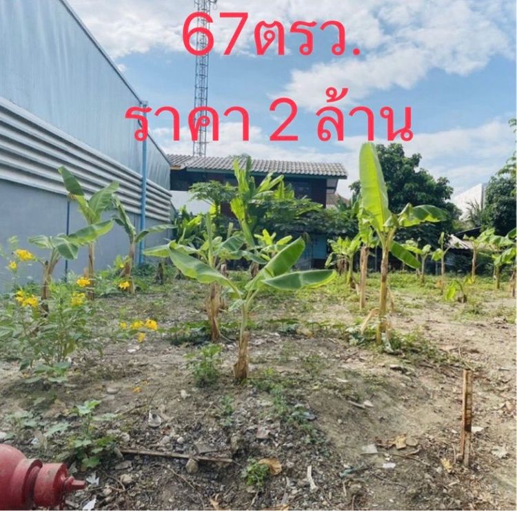 Land reclamation 67 square wa, beautiful plot, next to canal, in rural development area 3, Soi Jintana