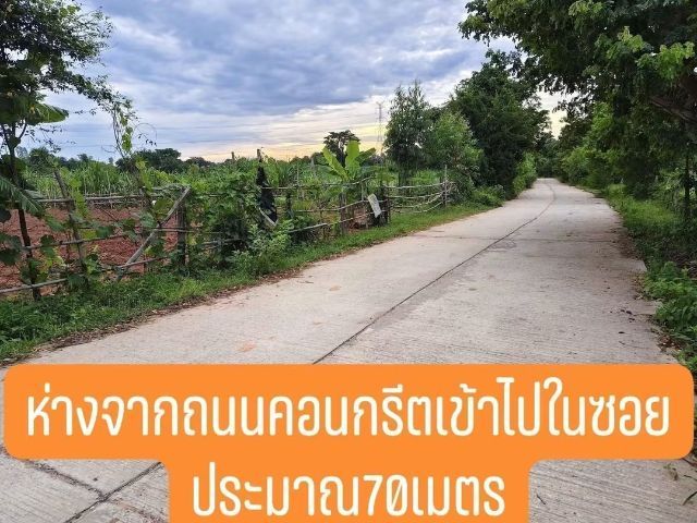 ใช่ ที่ดินแบ่งขาย 150 ตร.ว.เหมาะสร้างบ้านสวน รูปที่ 2