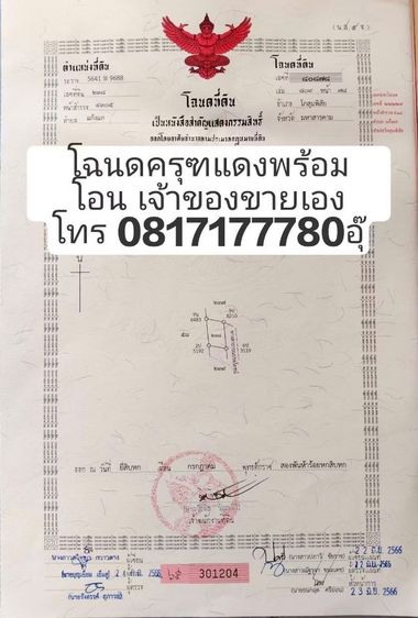 ใช่ ที่ดินแบ่งขาย 150 ตร.ว.เหมาะสร้างบ้านสวน รูปที่ 3