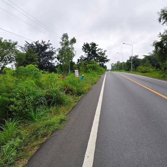 ที่ดินติดถนนลาดยางติดชุมชุน ราคาถูกที่สุดในทำเลนี้