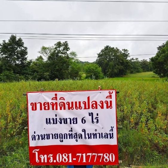 ใช่ ที่ดินติดถนนลาดยางติดชุมชุน ราคาถูกที่สุดในทำเลนี้ รูปที่ 2